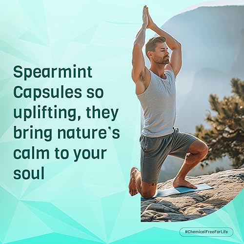 Miniatura 7 de Cápsulas de polvo de menta verde orgánica de 1000 mg  Certificado orgánico USDA  Sin OMG  Sin gluten  Vegano - 120 cápsulas vegetales