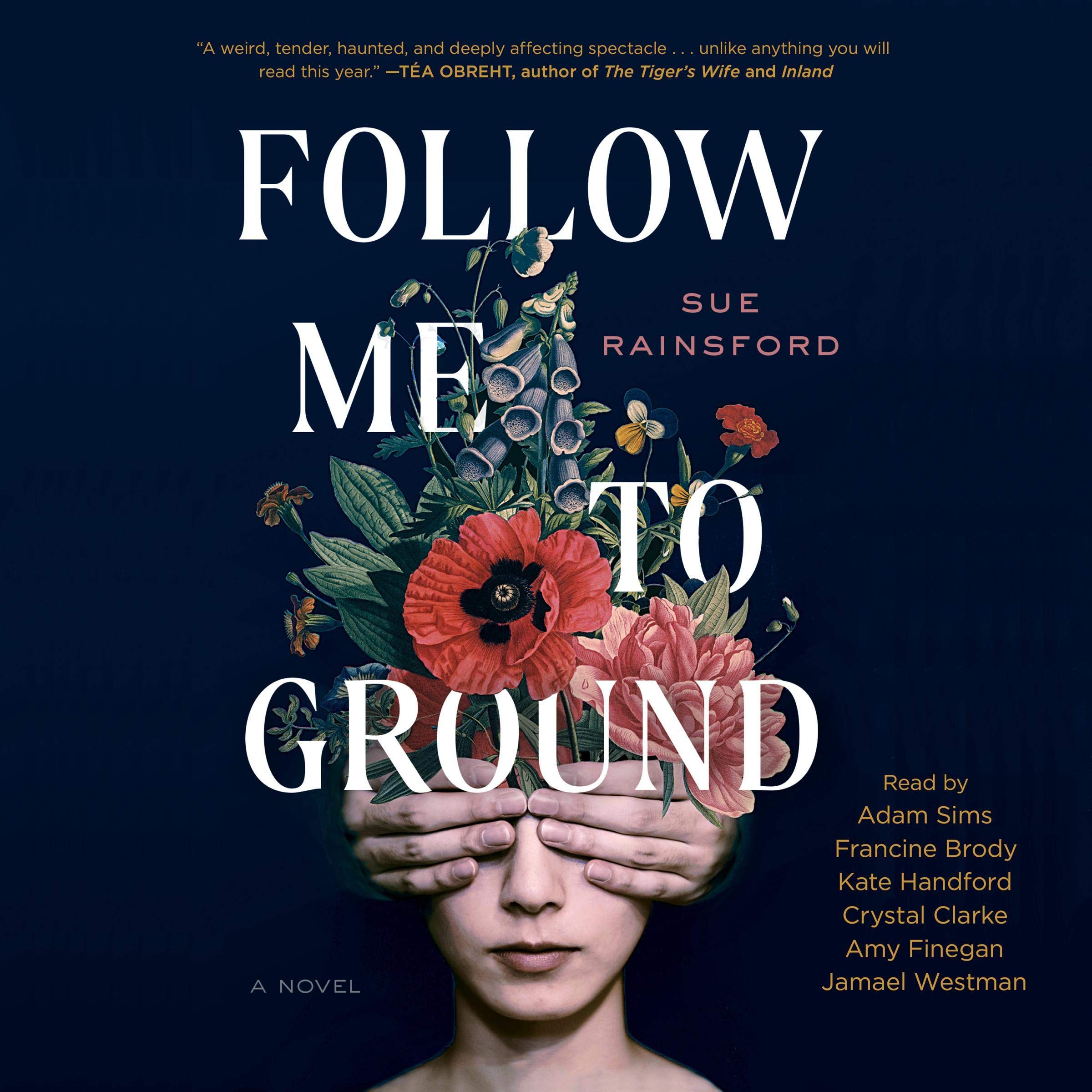 Cover art for Follow Me To Ground