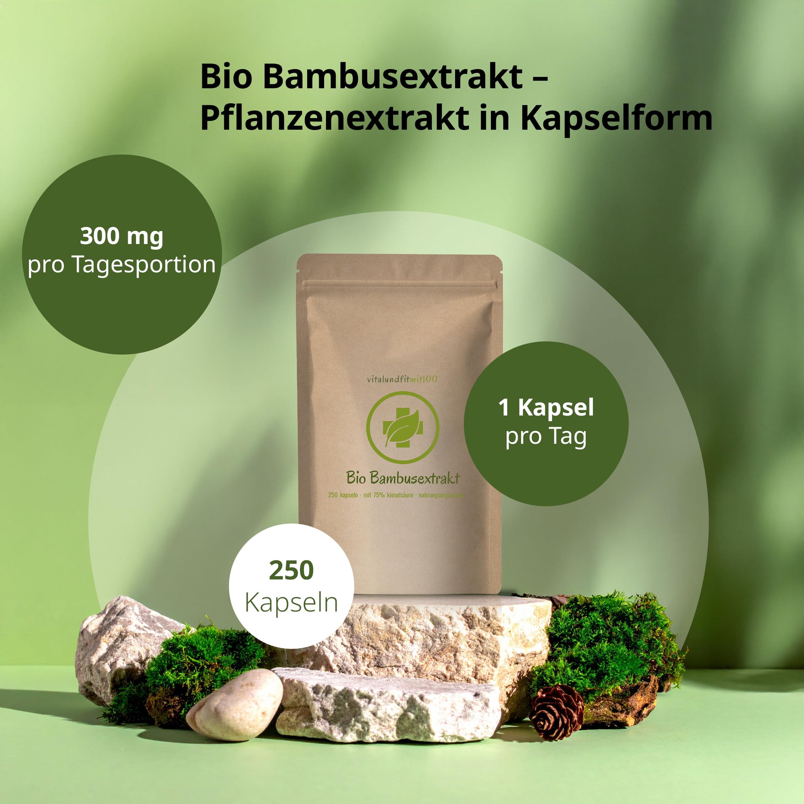 vitalundfitmit100 Bio Bambus Extrakt - 250 Kapseln hochdosiert - vegan - glutenfrei - Deutsche Herstellung