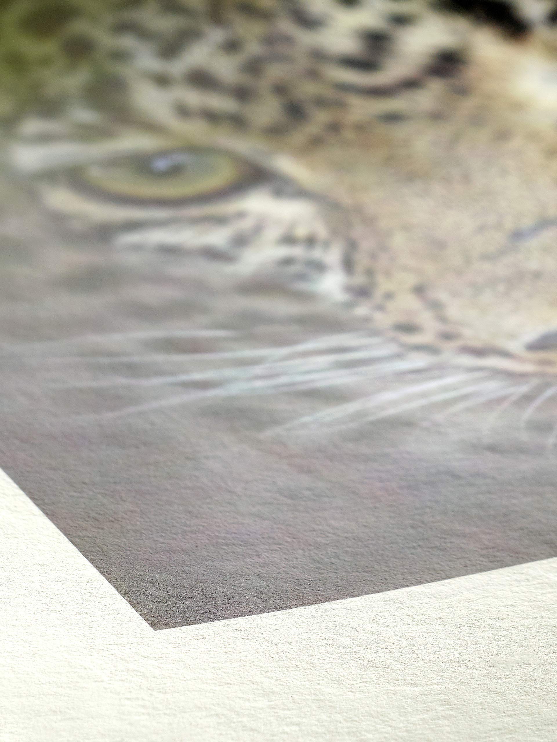 Hahnemühle 10641609 Digital FineArt Bamboo - Papel de bambú (290 g/m2, DIN A3+, 329 x 483 mm), color blanco