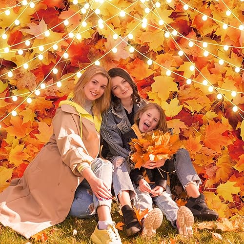 Miniatura 6 de Avezano Fondo de fotografía de paisaje de hojas de arce, bosque de otoño, cosecha, Acción de Gracias, fondo, decoración de fiesta, sesión de fotos