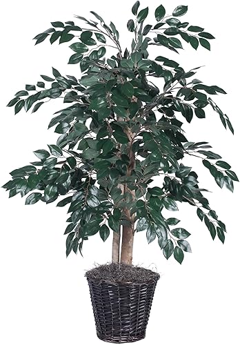 Vickerman TBU0740 Arbusto Sakaki todos los días, verde oscuro, 4 pies