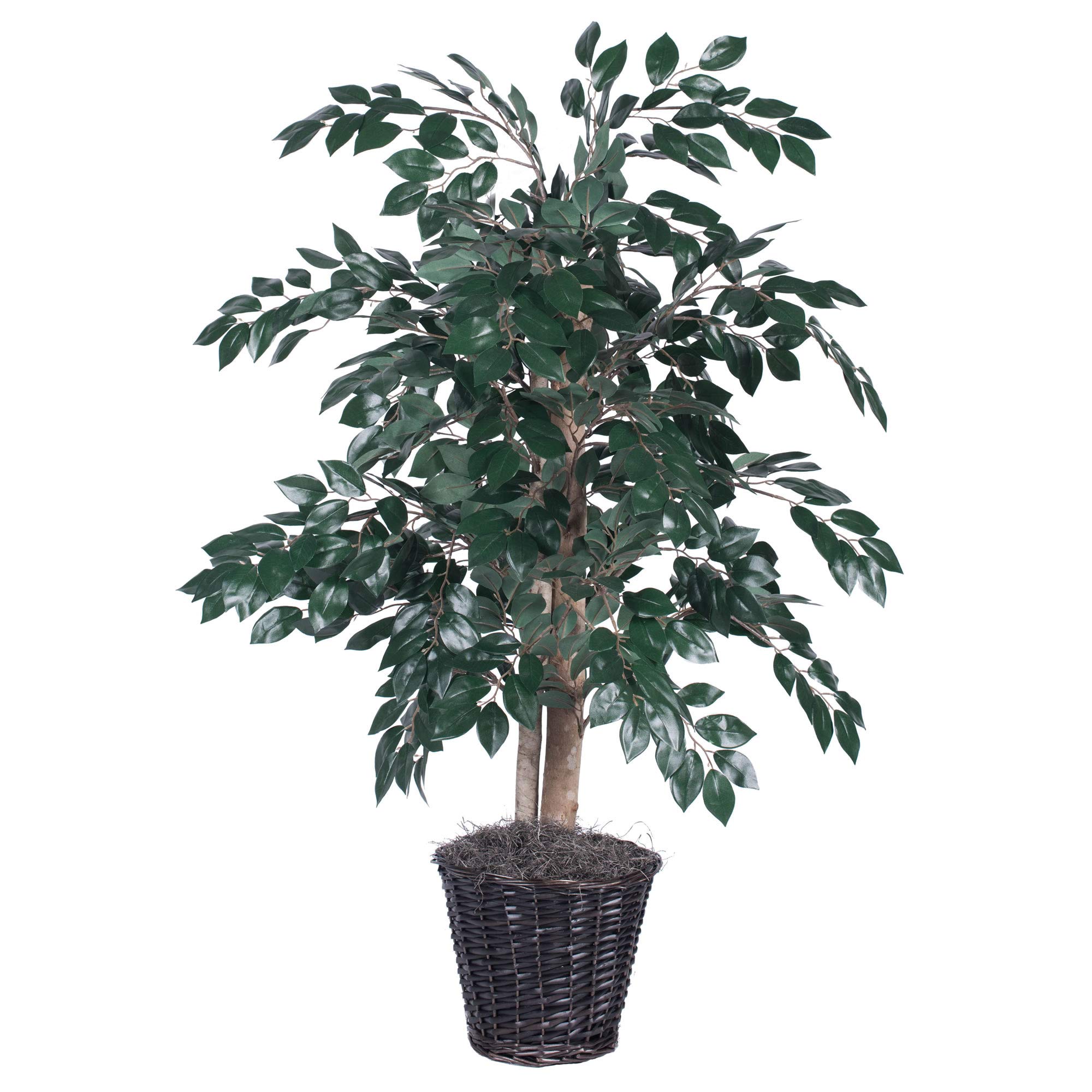 Vickerman TBU0740 Everyday Sakaki Bush, Green Dark, 4'