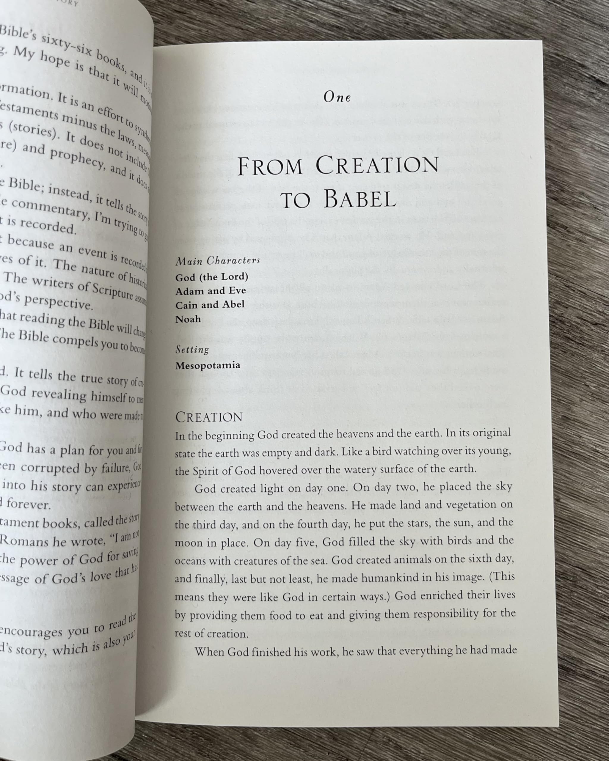 The Whole Bible Story Everything That Happens In The