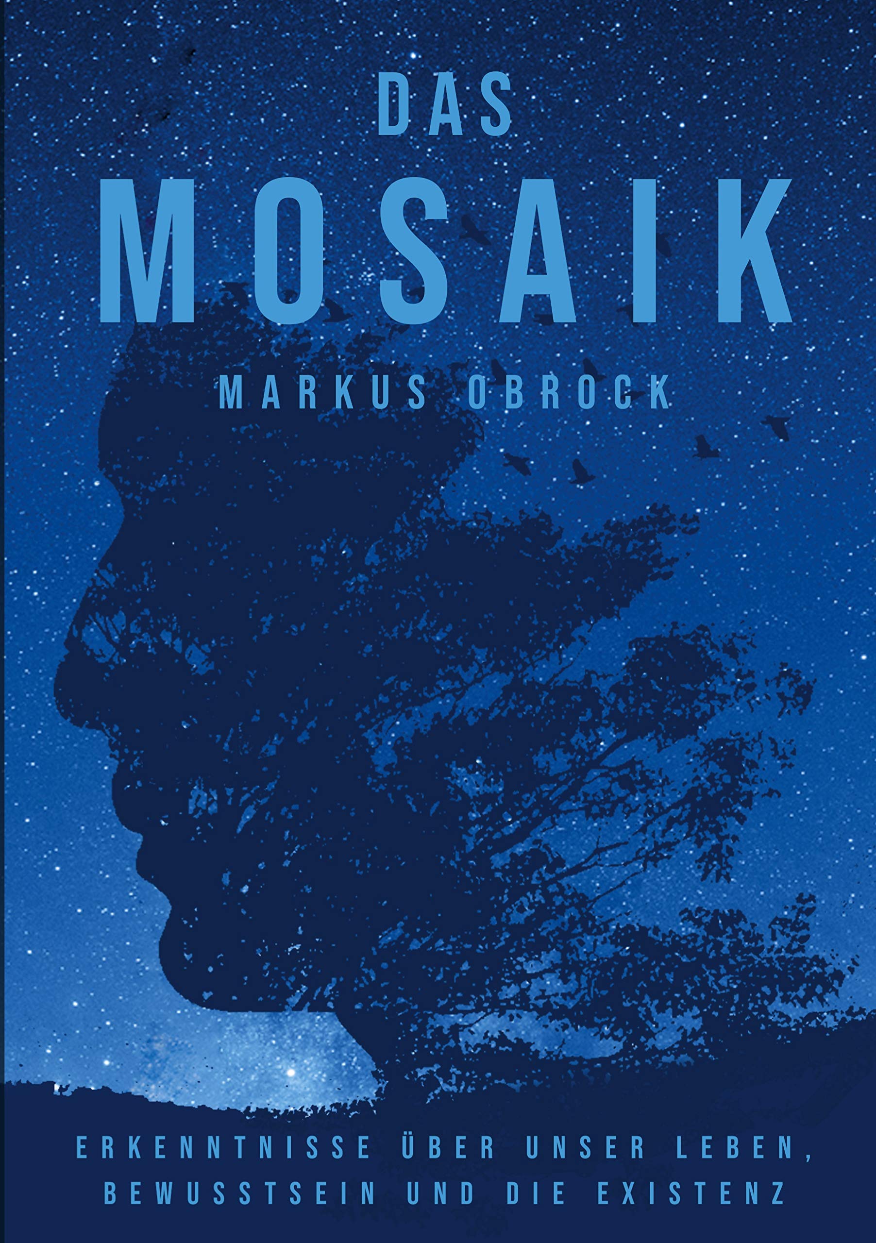 Das Mosaik: Erkenntnisse über unser Leben, Bewusstsein und die Existenz