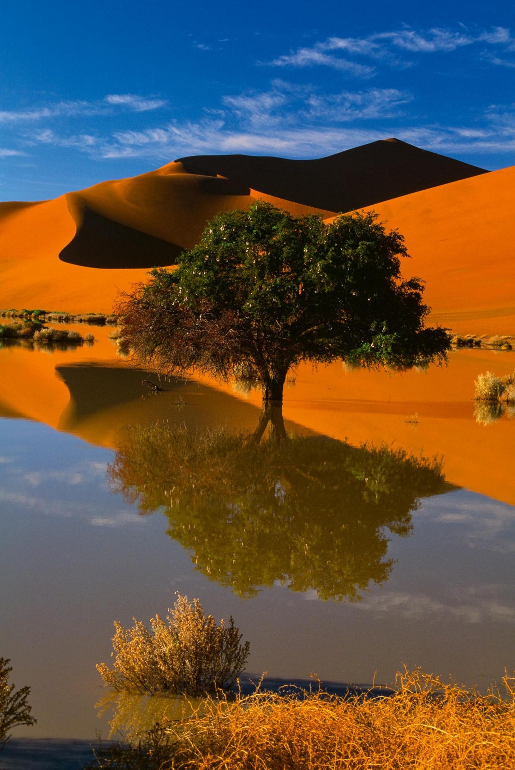 Deserts: The world's most fascinating places/Die faszinierendsten Orte der Welt