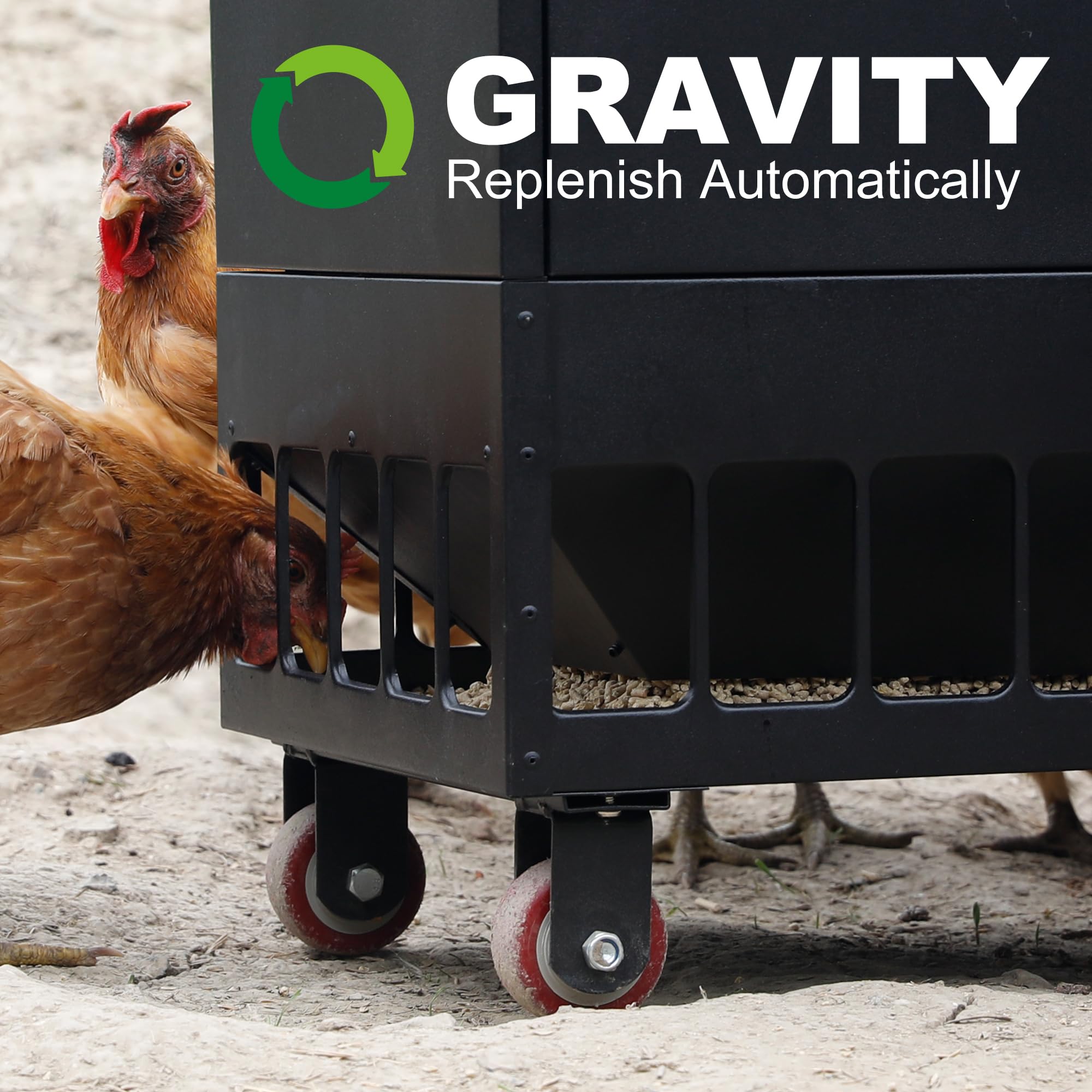 Grande Comedero para Pollos Alimentador automático de Pollo de 55 kg, Metal Dispensador De Pienso, sin Desperdicio, Patos, Aves de Corral, comedero de Pollo al Aire Libre