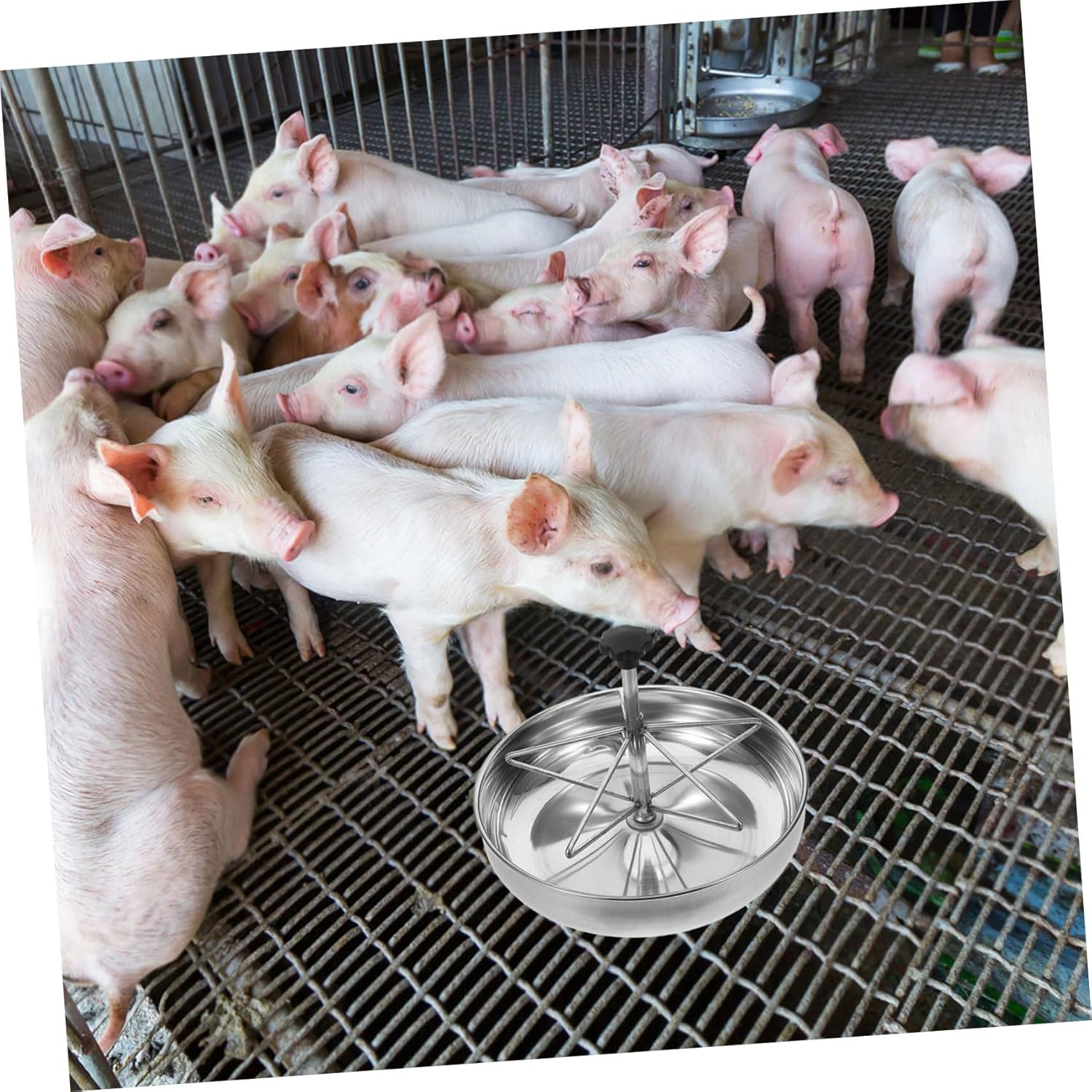VANZACK Stainless Steel Pig Feeder Trough Durable Feeding for Livestock Easy to Clean Design Fixed Stable Manger for Pigs and Piglets