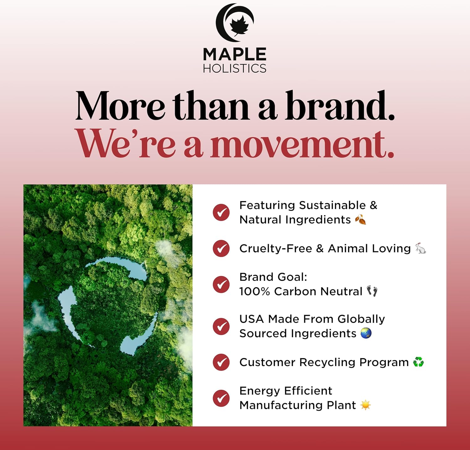 Uplift Essential Oil Roll On - Aromatherapy Essential Oil Roller with Lavender and Citrus Calming Essential Oils - Happy and Relaxing Essential Oil Blend with Orange Lemon & Grapefruit (1 Pack) - Image 8