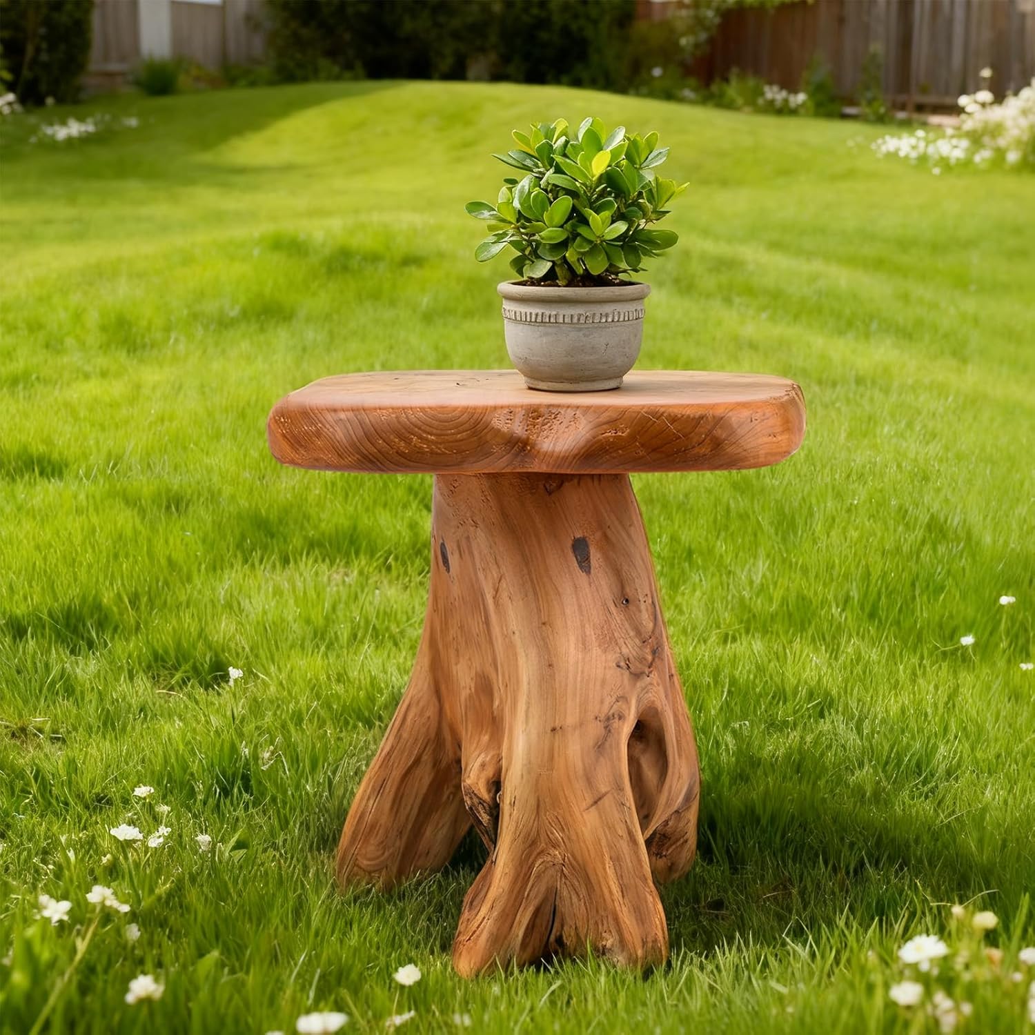 Small Side Table, Freeform Live Edge Wood Stool, Unique Design Natural Plant Stand for Patio, Garden, Yard, Living Room, Bedroom