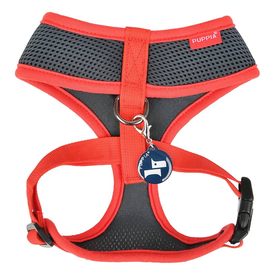 首輪・ハーネス・リード NEIGHBORHOOD DOG HARNESS NEIGHBORHOOD DOG HARNESS グレー Front Range Harness - Padded