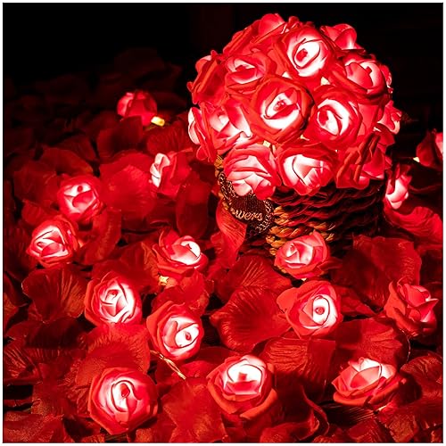 Rose Flower String Lights, 20 LED Battery Operated Romantic Red