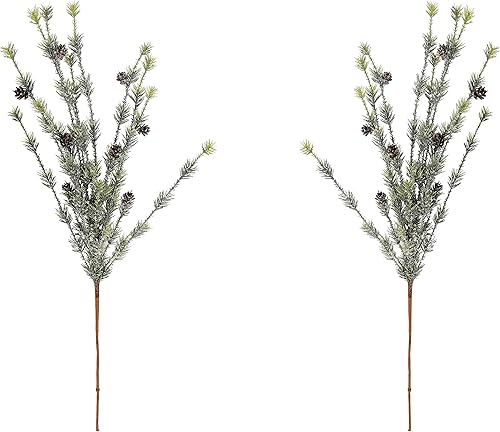 Admired By Nature ABN4C002-NTRL-2 - Aerosol artificial de pino estacional, escarcha natural, juego de 2 piñas de helecho verde, paquete doble