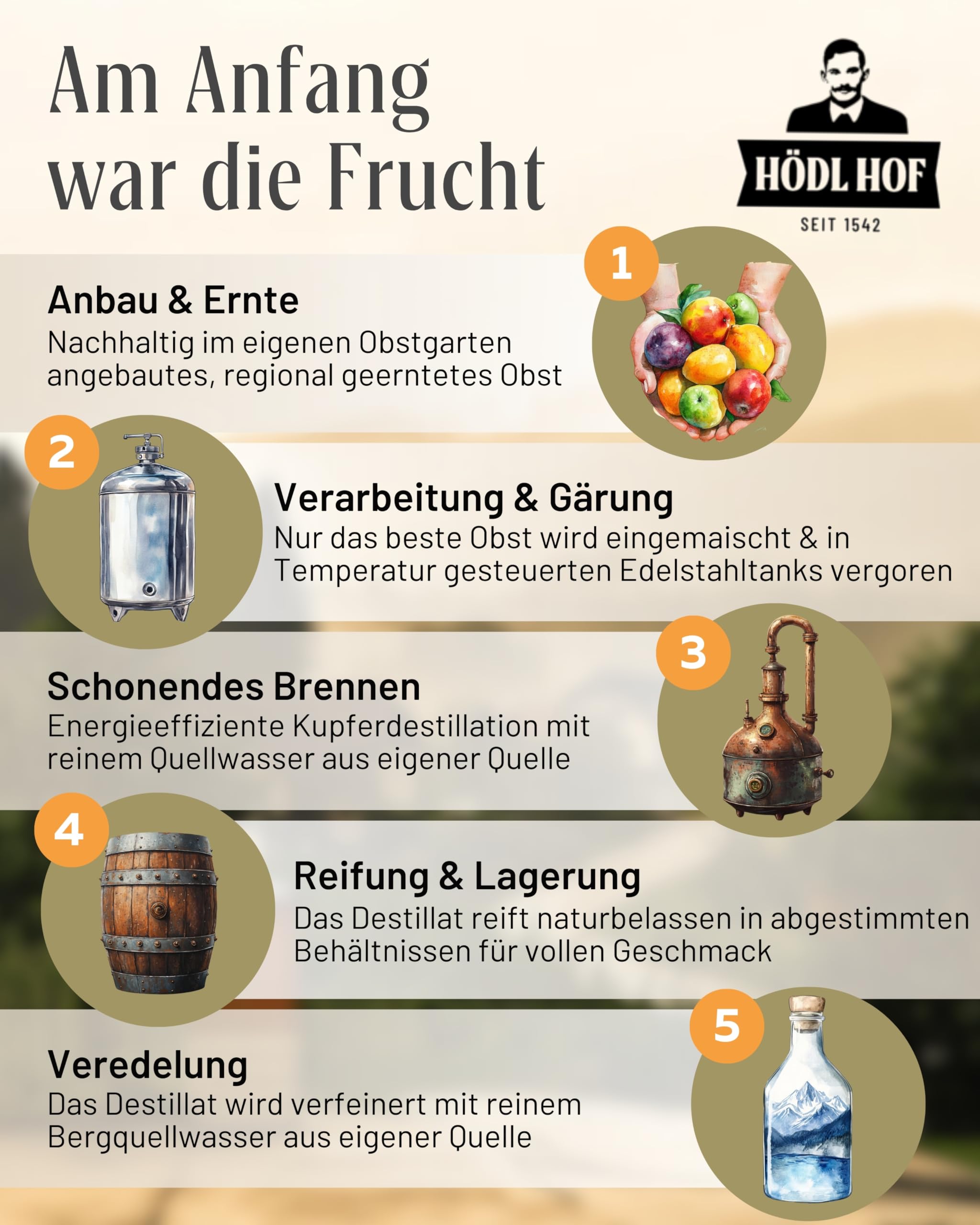 Hödl Hof Zirbe Fass 1,0L I Zirbenschnaps aus steirischen Zirbenzapfen I im Holzfass gelagert I Zirbenschnaps aus hochwertigen Zutaten I Feiner Zirbenlikör aus dem Eichenfass I Edle Spirituose 38% vol