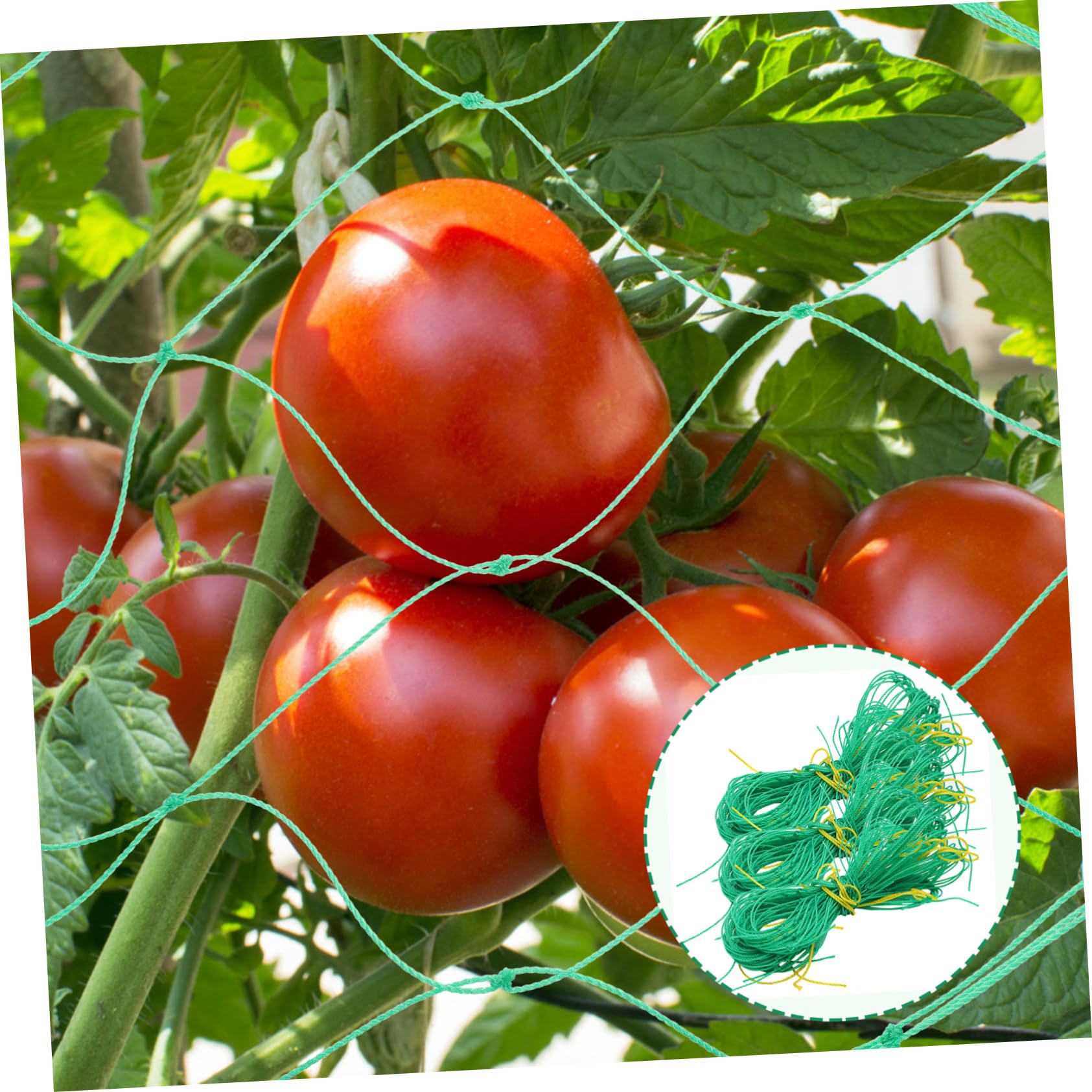 3 Stück Gartennetz aus Nylon für Obstpflanzen und Kletterpflanzen