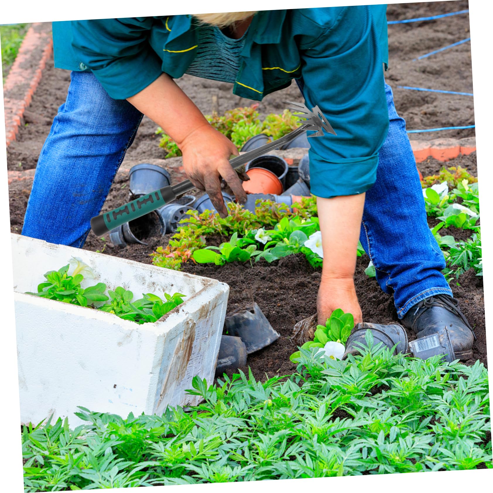 Toddmomy 4stücke Gartenwerkzeug Robuste Gartenhacke Für Effektives Jäten Ergonomischer Handgriff Für Unkrautentfernung Und Pflanzenpflege