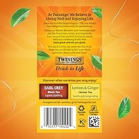 Vista 321 de Twinings Blackcurrant Breeze - Té negro, 6 paquetes de 20 unidades, bolsas de té envueltas individualmente, dulce, sabor picante, con cafeína