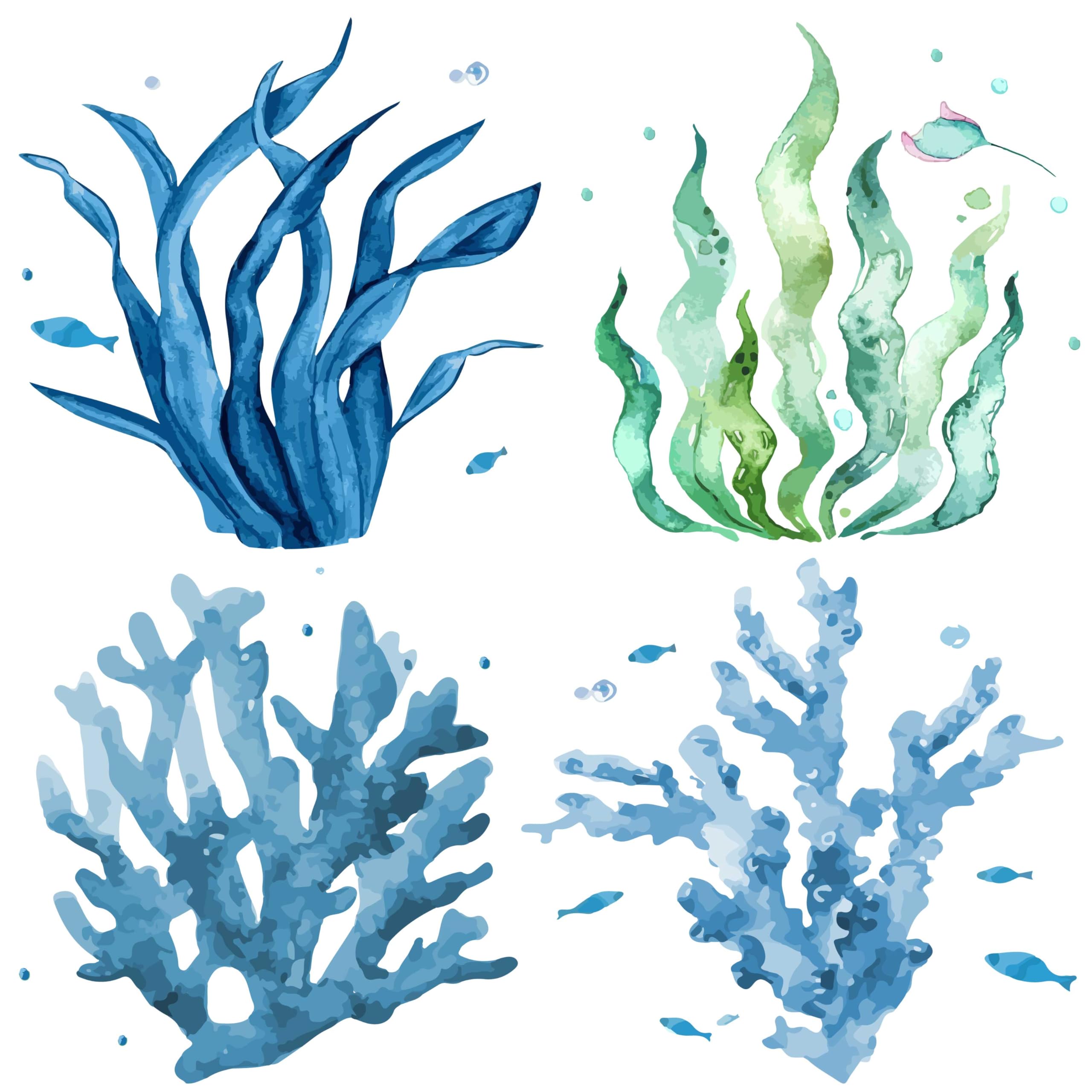 GORGECRAFT 4Pcs Seaweed Window Decals 16cm Summer Window Clings Ocean Themed Stickers Watercolor Marine Animals Removable Waterproof Decals for Summer