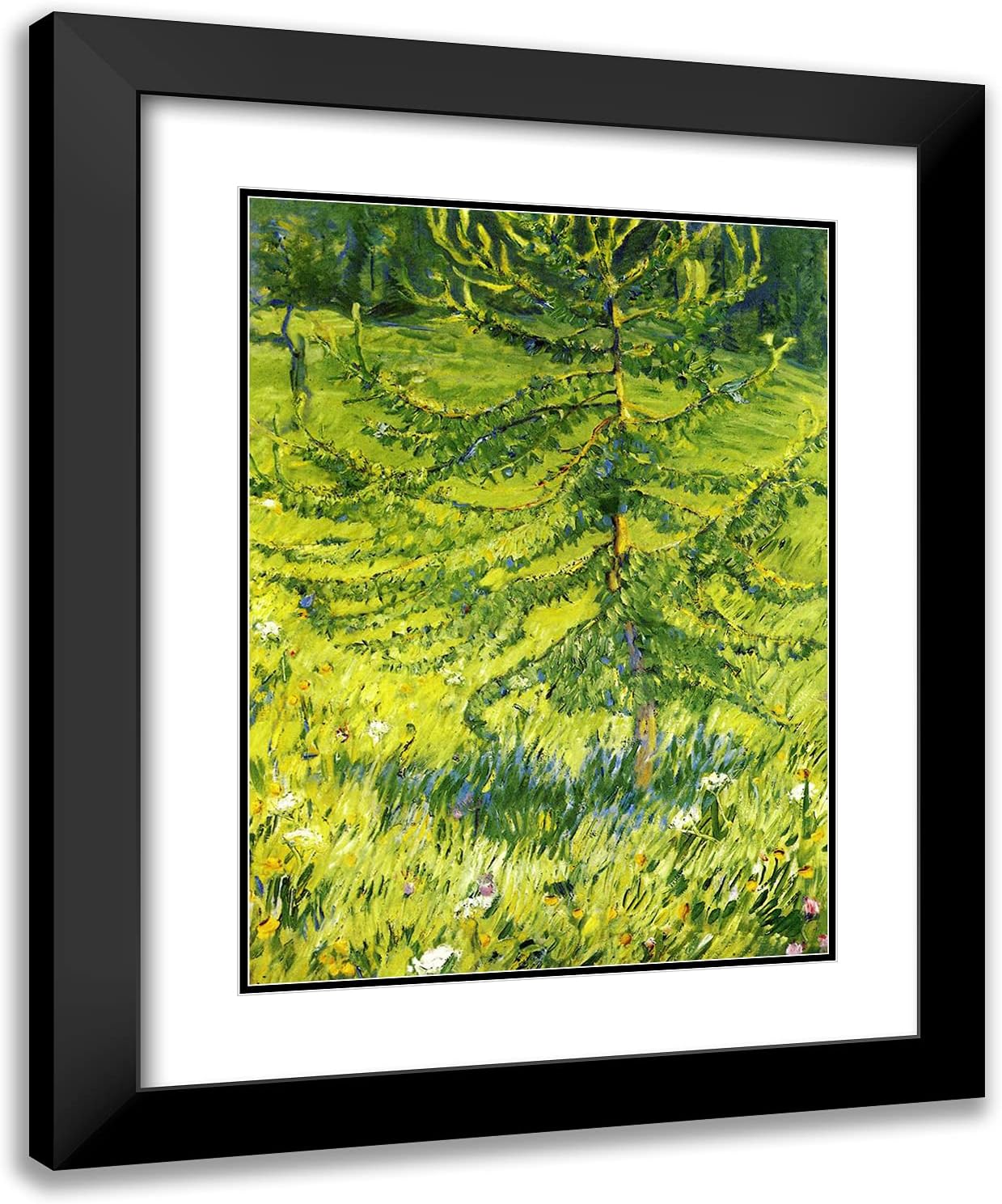 ArtDirect Marc, Franz 20x24 Black Ornate Framed Art Print with Double Matting Titled: Larch Sapling