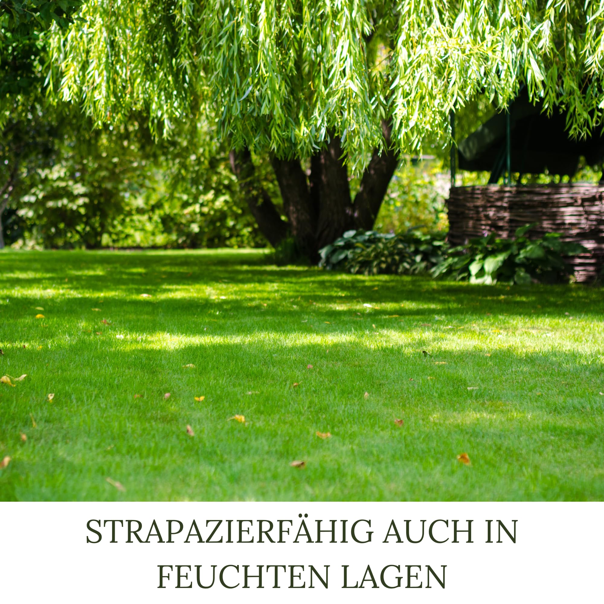 HEGA Grasland Rasensamen Berliner Tiergarten Rasen Samen Grassamen (20 kg (2 x 10 kg))