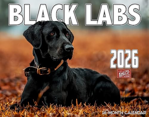 Miniatura 1 de 2025 Black Labrador Dog Wall Calendar 16-Month X-Large Size 14x22, Best Black Lab Calendar by The KING Company-Monster Calendars