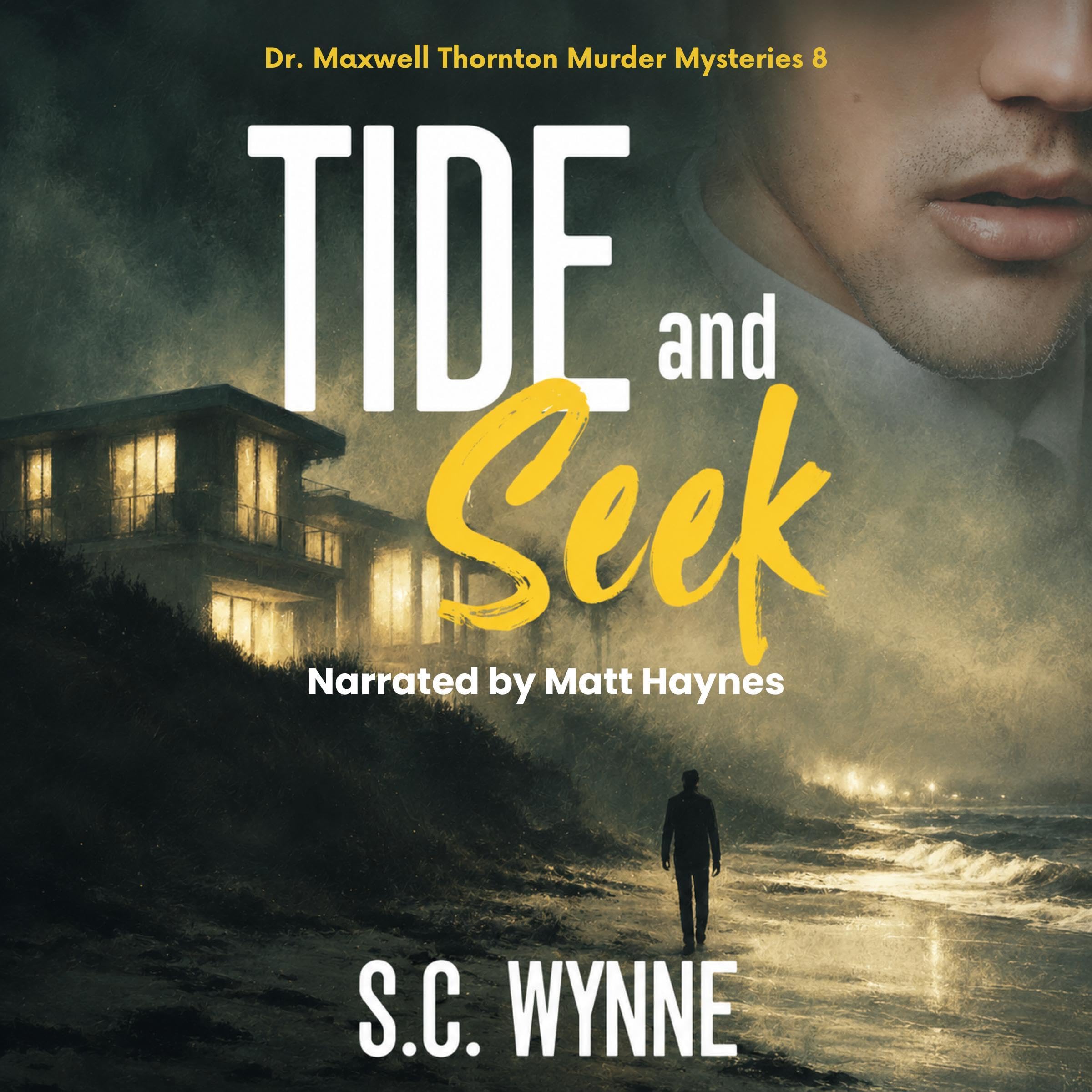 Cover art for Tide and Seek