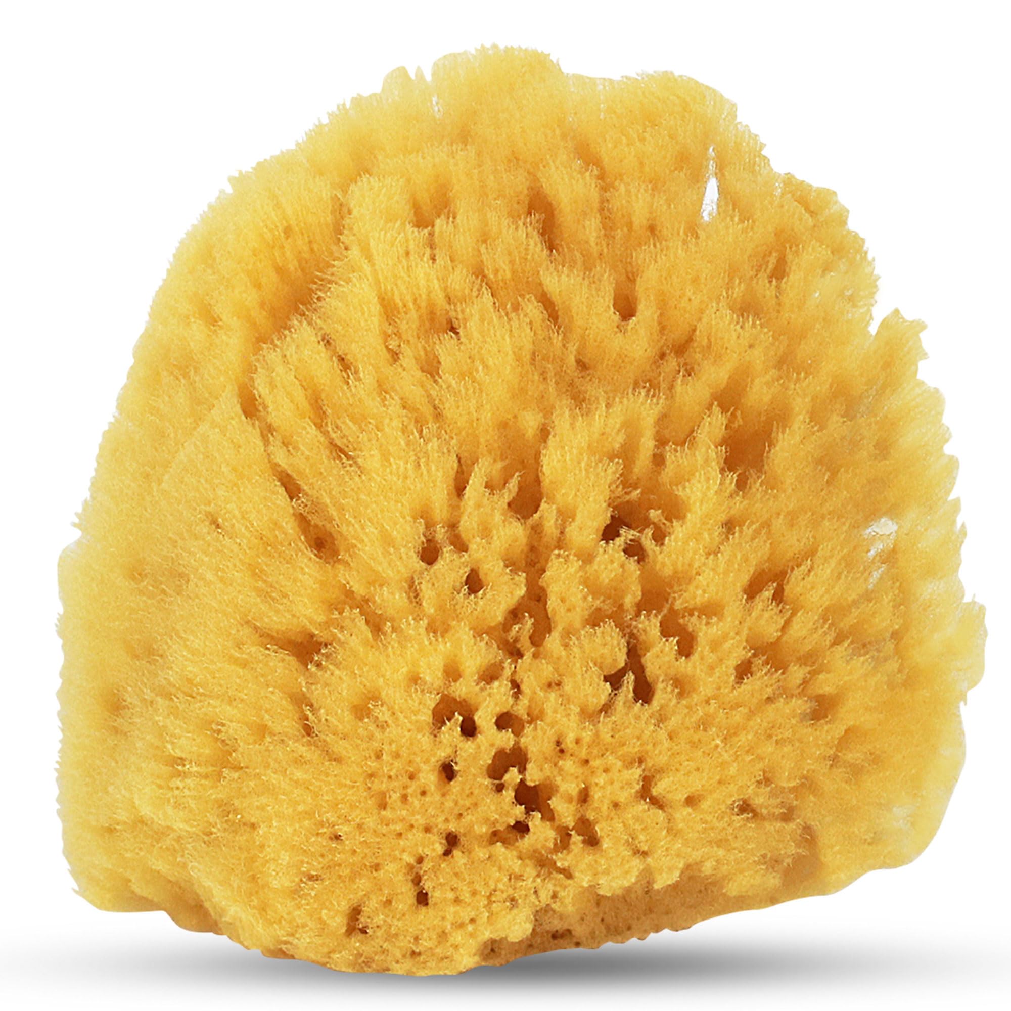 HartFelt Delikatna gąbka do złuszczania, żółta, morska, 10 cm, naturalne gąbki pod prysznic do kąpieli dla mężczyzn i kobiet, bogata piana