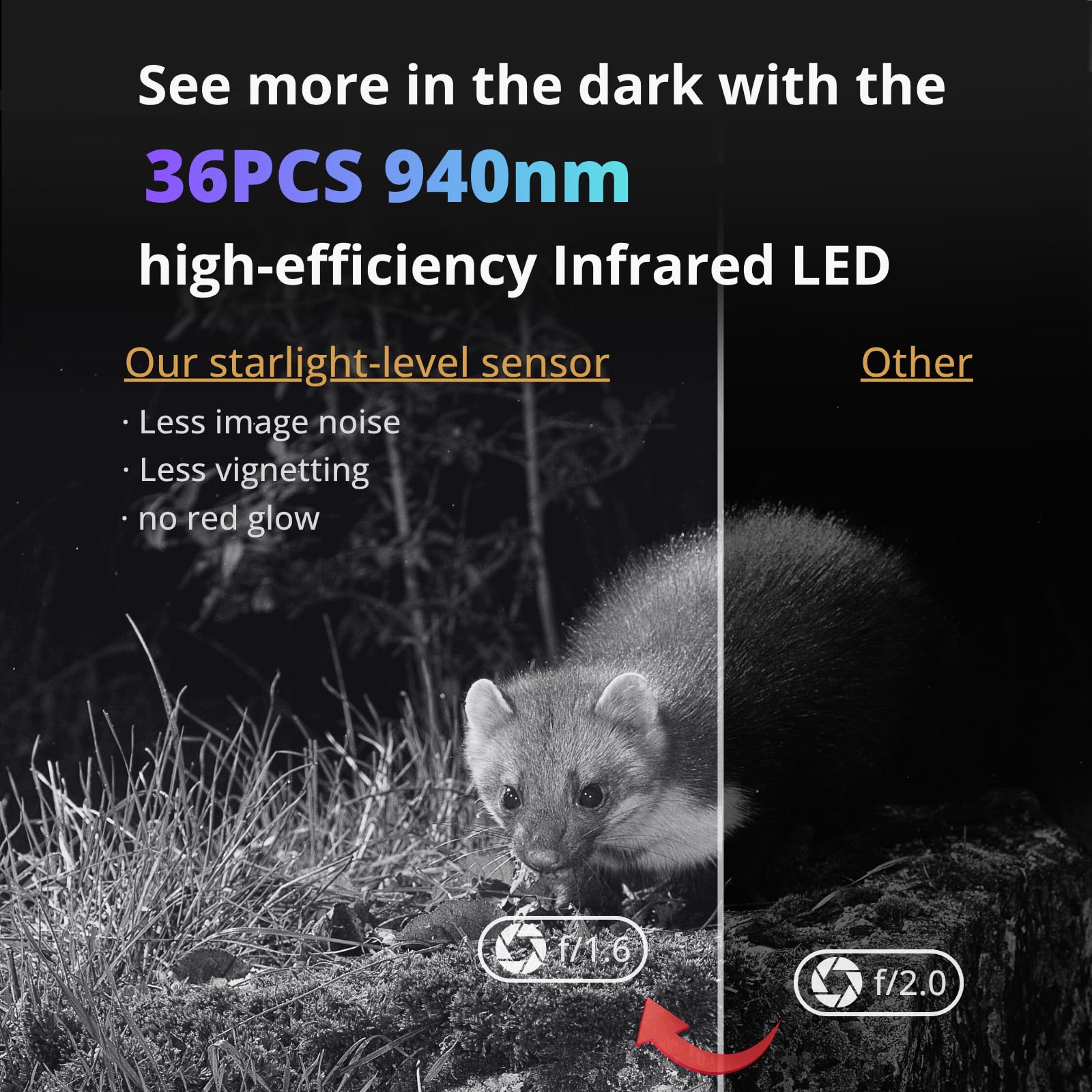 BlazeVideo Wildkamera WLAN mit App，Wildtierkamera Nachtsichtkamera Fotofalle 64MP 1296P Verbinden druch APP Bluetooth Antenne mit Nachtsicht Bewegungsmelder