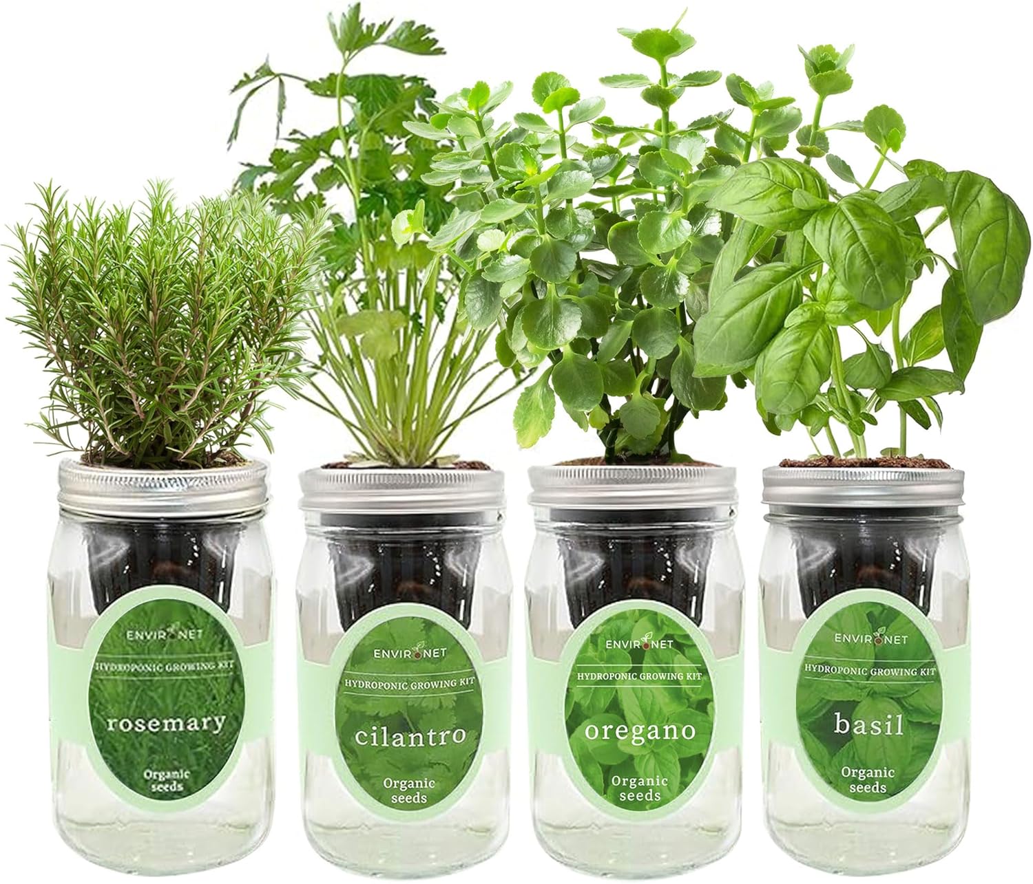 Hydroponic Herb Growing Kit Set, Self-Watering Mason Jar Herb Garden Starter Kit Indoor, Grow 4 Kinds of Herbs from Seeds (Cilantro,Basil,Parsley&Oregano)