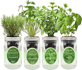 Hydroponic Mason Jar Organic Herb Seed Starter Kits - Mediterranean Herb...