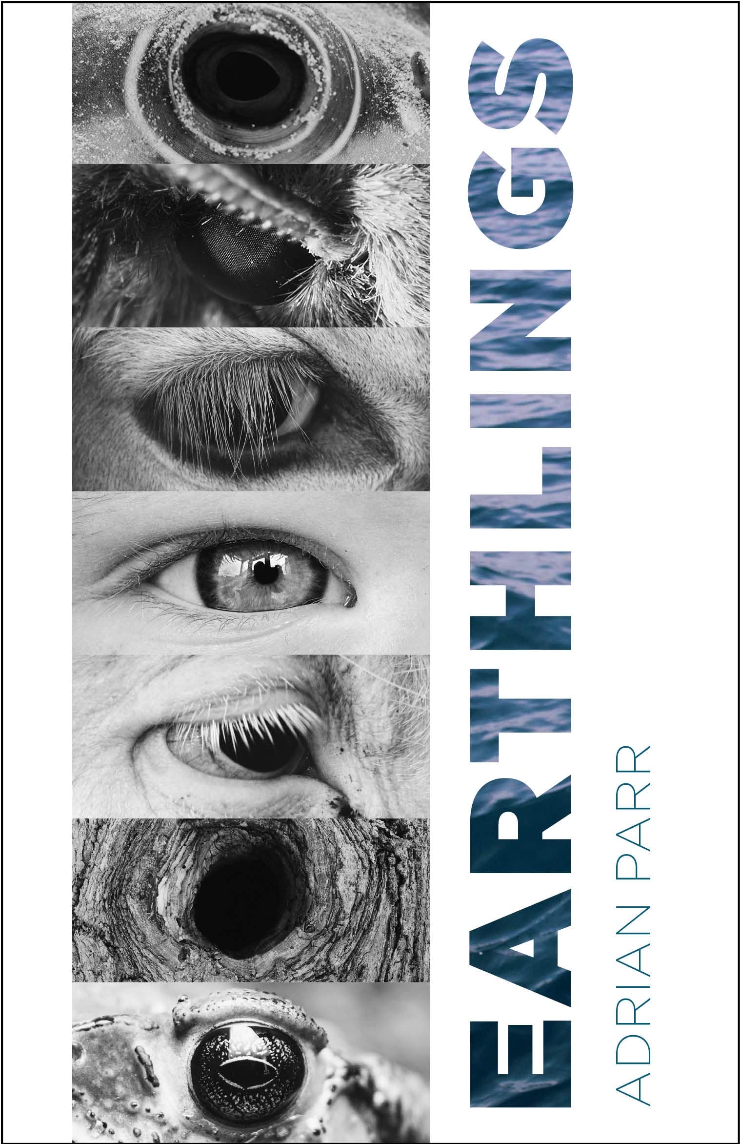 Buy Earthlings: Imaginative Encounters with the Natural World — BookShops.in