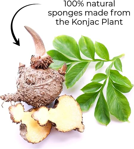 Miniatura 5 de Konjac - Esponja de baño natural para bebés, recién nacidos, niños pequeños y niños, ideal para pieles sensibles, ecológica, segura a base de
