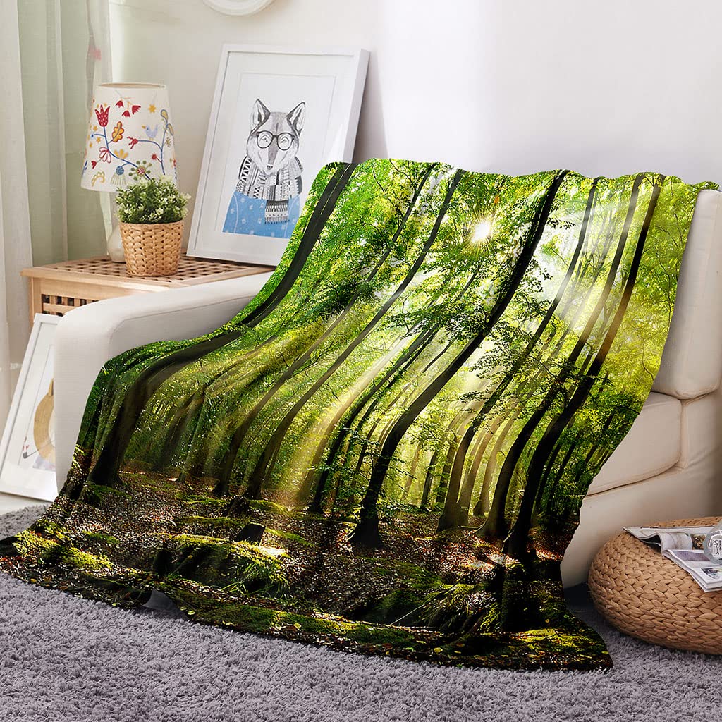 Manta De Franela De Microfibra 180X220Cm Manta De Felpa Suave para Sofá Cama 3D Bosques Verdes Soleados Impresión Patrón Manta Polar Invierno Gruesa Y Esponjosa Caliente Transpirable