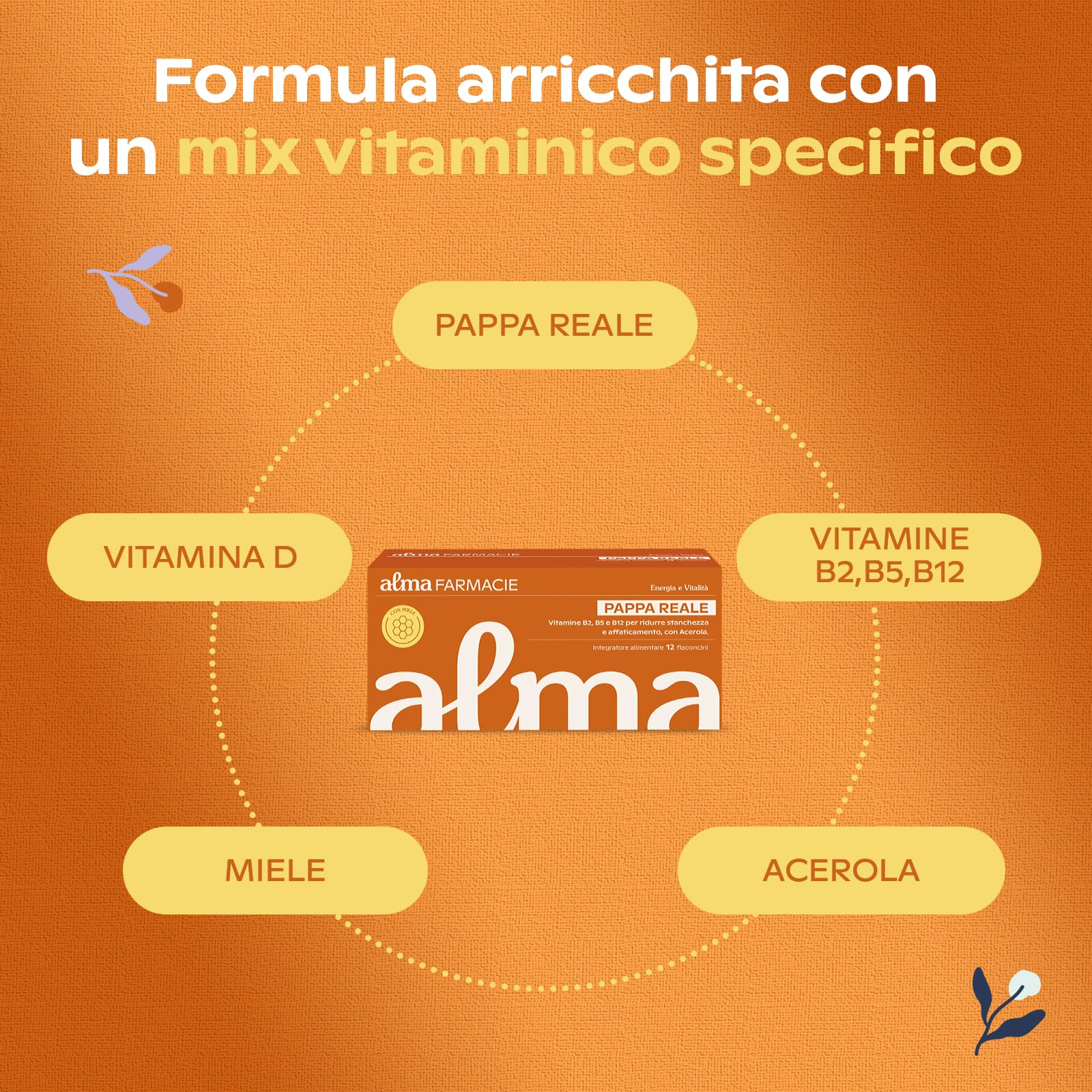 Pappa Reale Alma Farmacie, Integratore Ricostituente per ridurre Stanchezza, sopporto al Sistema Immunitario; con Vitamine B2, B5, B12, D e Acerola, Senza Glutine e Lattosio, 12 Flaconcini