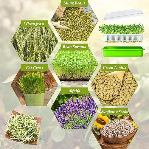 Miniatura 20 de Legigo Paquete de 2 bandejas de germinación de semillas con tapas, bandeja de germinación de cultivo sin tierra, sin BPA, bandejas de cultivo de 2