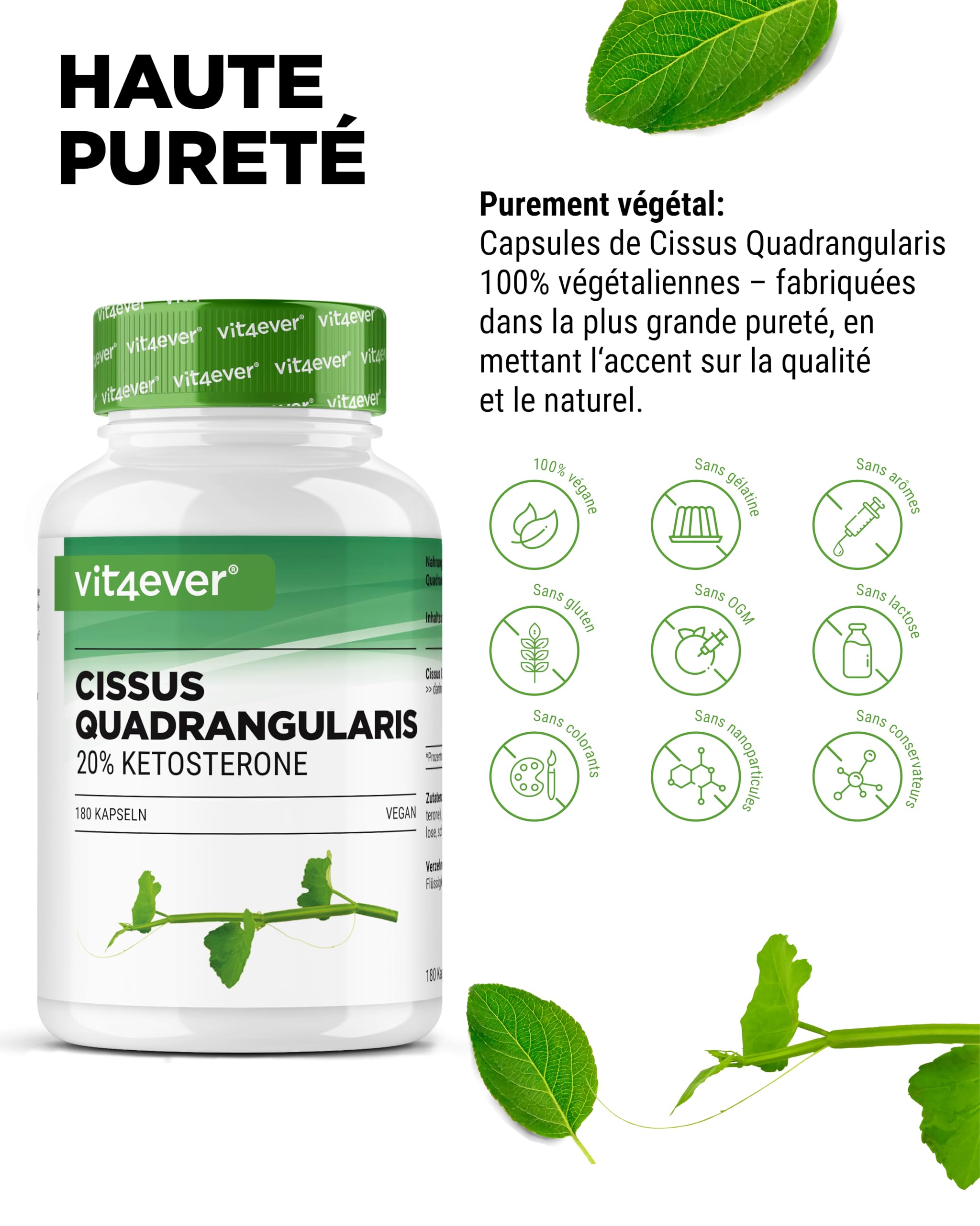 vit4ever Cissus Quadrangularis - 180 Gélules avec 700 mg d’Extrait - Premium : 20% de Cétostérones - Forte Dose - Végan