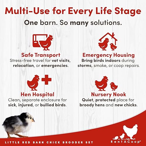 Vista 9 de RentACoop Little Red Barn - Juego de criadores de pollitos, duradero, ligero, fácil de limpiar, multiusos, con placa calefactora, alimentador