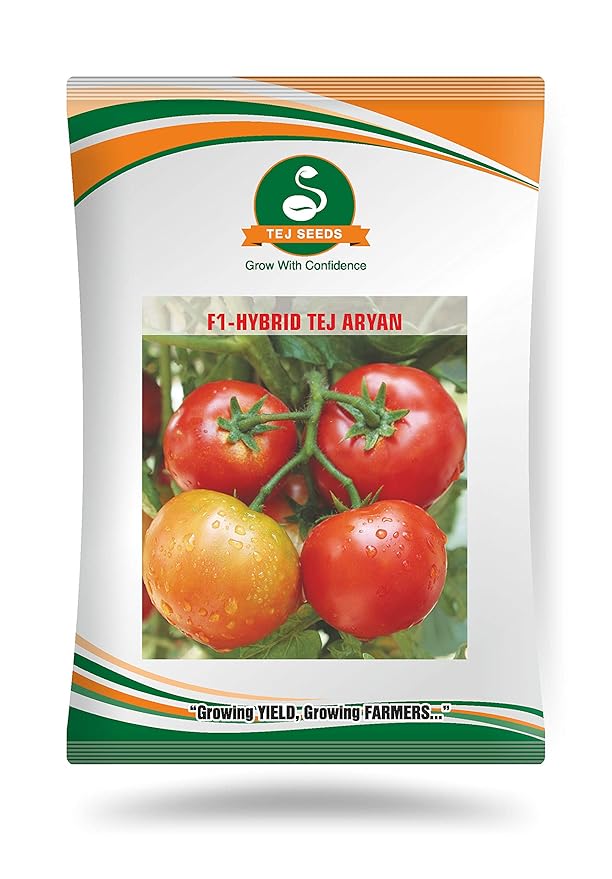 Tomato Seed F1 Hybrid Tej Aryan By Tej Seeds (10 gm) Amazon.in