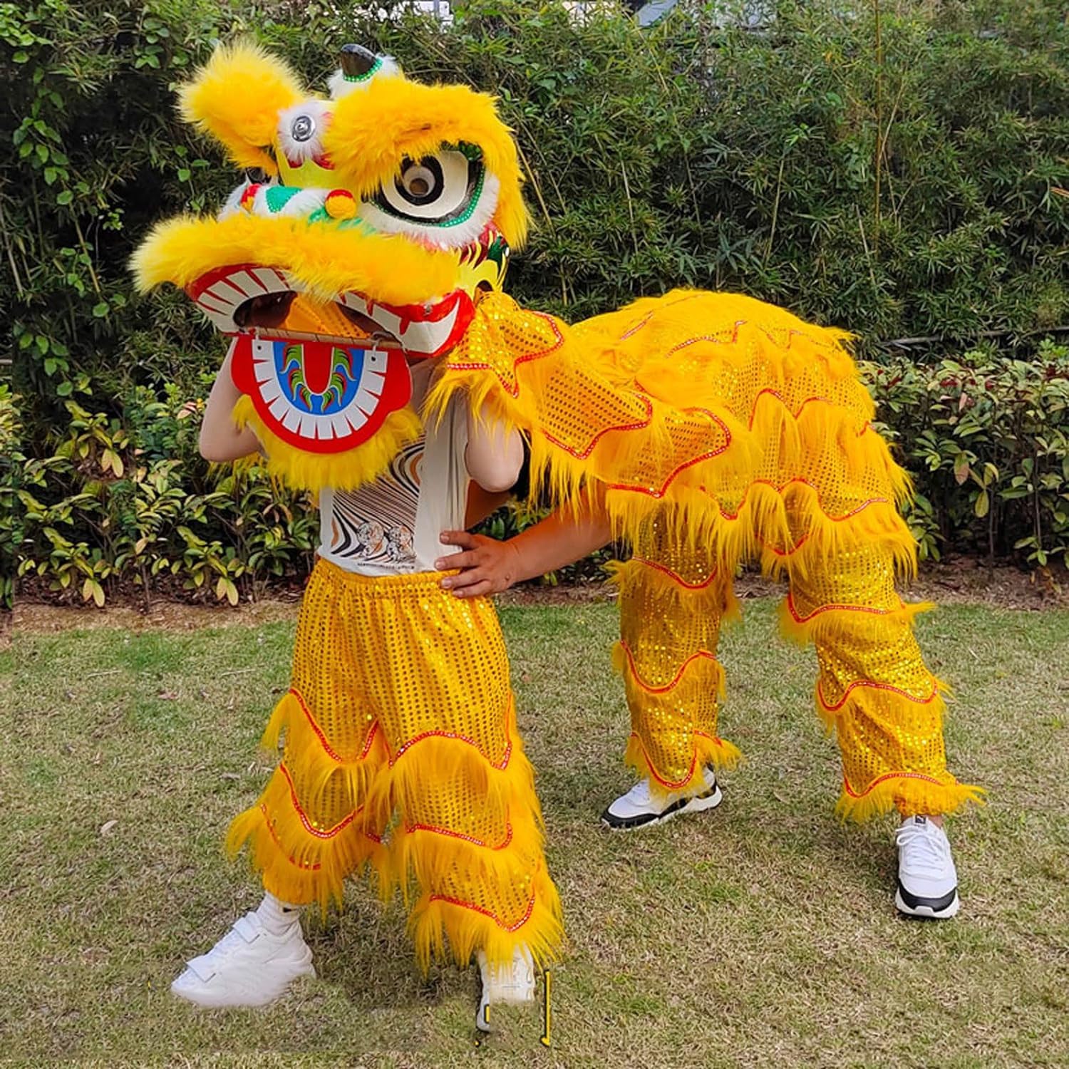 Amazon.co.jp: 獅子舞 龍舞 中国 9 インチ 獅子舞 中国の旧正月 屋外
