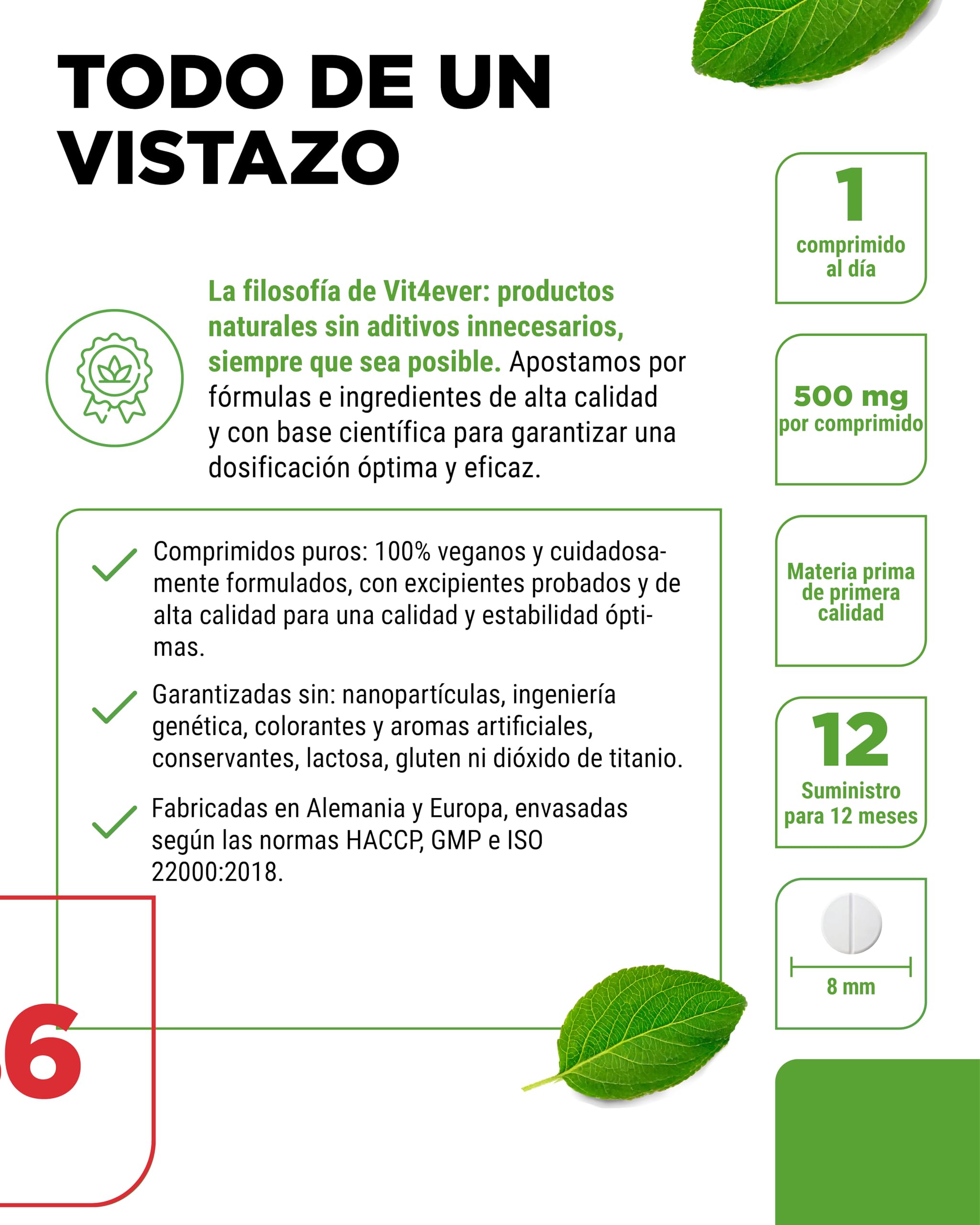 vit4ever Vitamina B6 en Forma de P-5-P - 365 Comprimidos - Alta Dosificación con 25 mg (Piridoxal-5-Fosfato) - Premium: Vitamina B6 Bioactiva - Sin Aditivos no deseados - Vegano