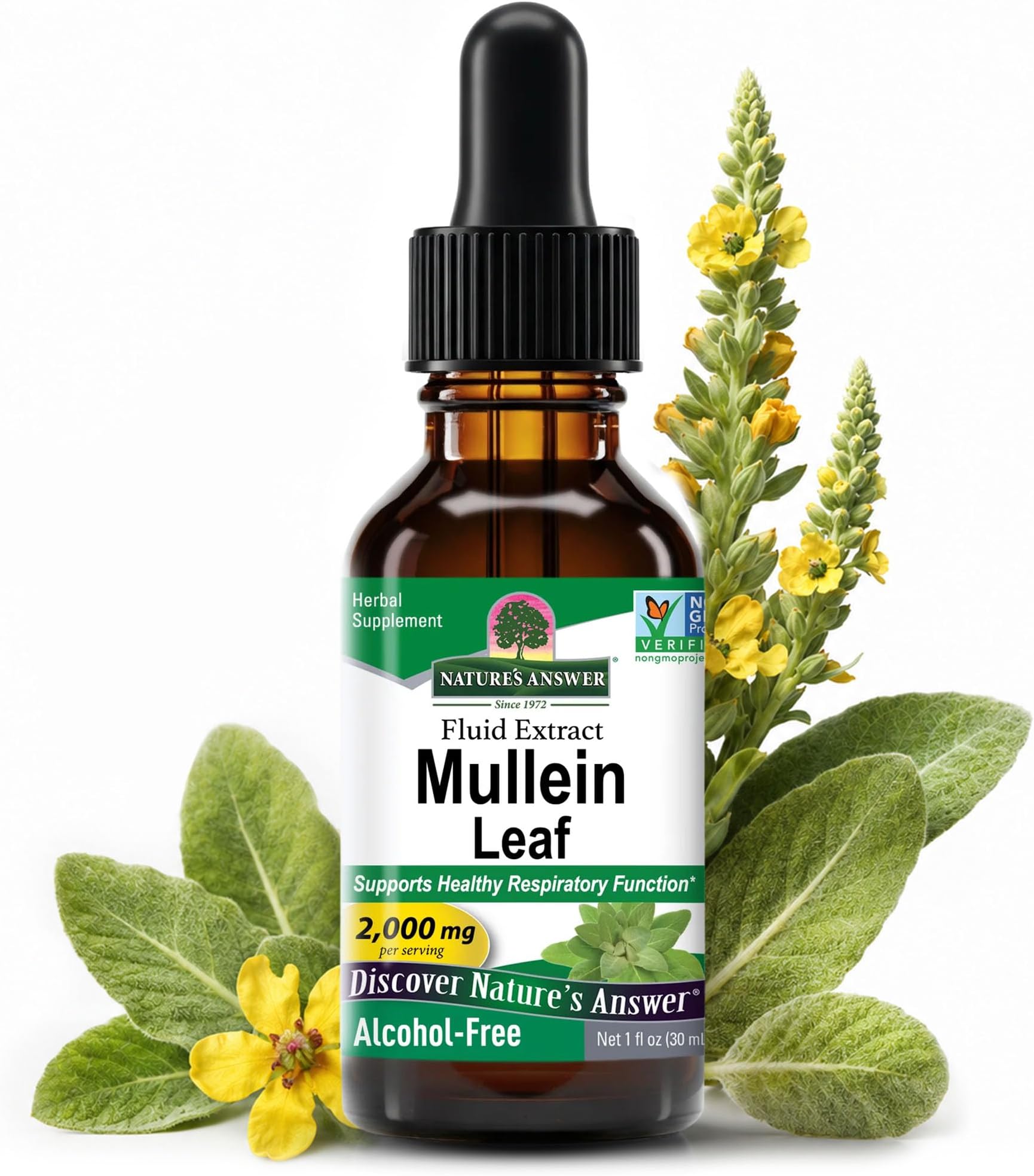 Natures Answer Mullein Leaf 1000 mg, 1 oz - Alcohol Free Herbal Supplement - Supports Respiratory Function and Mucous Membranes - Non-GMO, Kosher, Gluten-Free | Lung Support, Healthy Respiratory Function And Mucous Membranes, Alcohol-Free Liquid Extract, Kosher Certified, Easy To Use