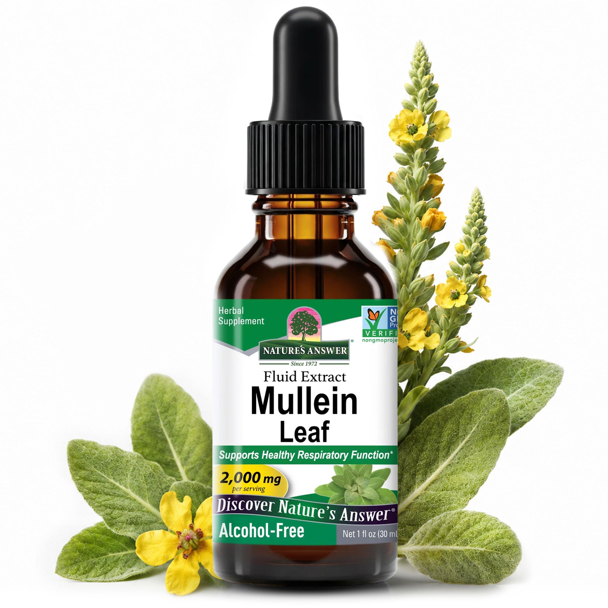 Natures Answer Mullein Leaf 1000 mg, 1 oz - Alcohol Free Herbal Supplement - Supports Respiratory Function and Mucous Membranes - Non-GMO, Kosher, Gluten-Free