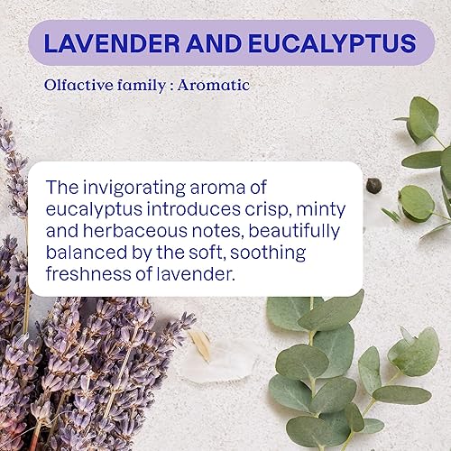 Miniatura 4 de ATTITUDE Eliminador de olores con carbón activado, purificador de aire a base de plantas, vegano, aroma a lavanda y eucalipto, 8 onzas