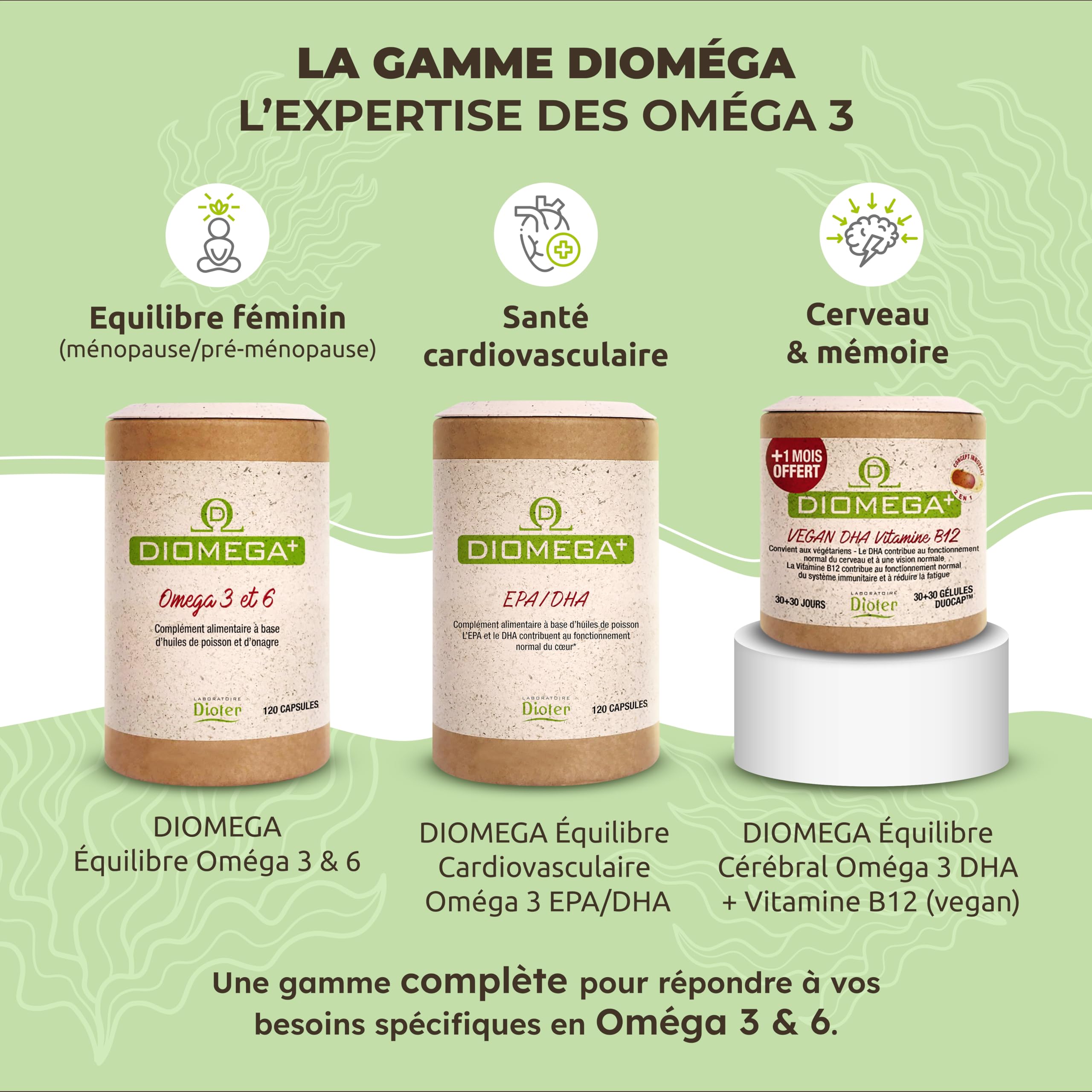 Dioméga Équilibre Cérébral, Oméga 3 végan, DHA d’Algues + Vitamine B12 – Complément Alimentaire végan - Mémoire, Concentration, Vision & Système Nerveux - 60 Gélules