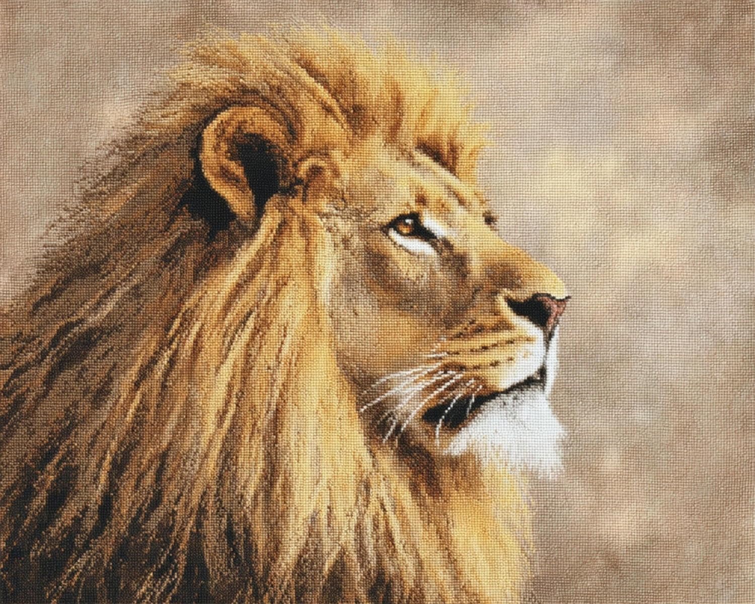 Henypt DIY Latch Hook Rug Kit Lion 80x160cm