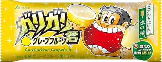 激レア　ガリガリ君エプロン　赤城乳業 新品未使用】赤城乳業 ガリガリ君 懸賞品 親子エプロン - メルカリ