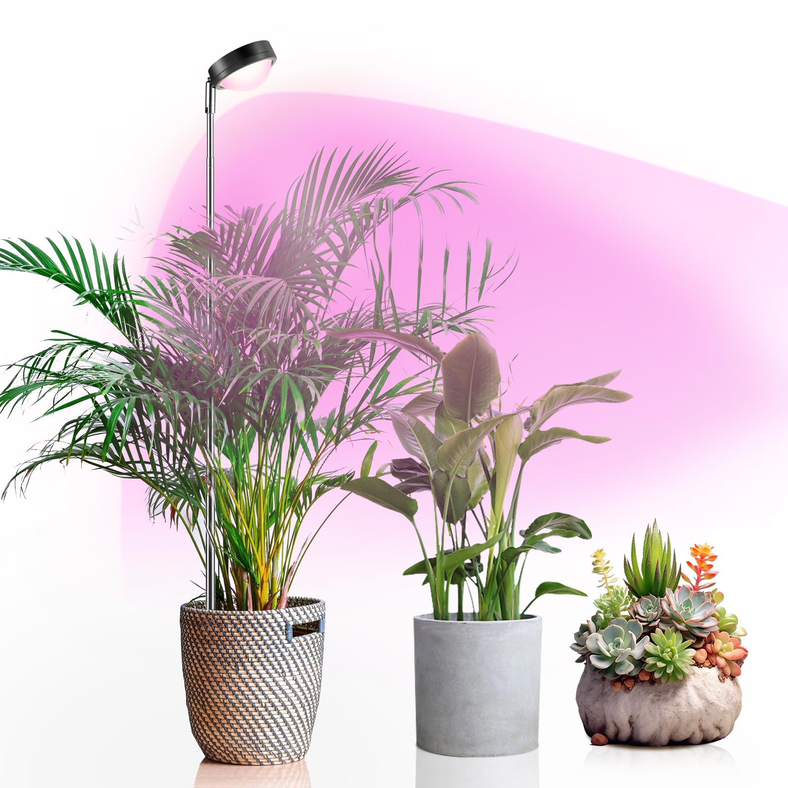 fayleer Pflanzenlampe LED Vollspektrum mit Optischer Linse und Timer