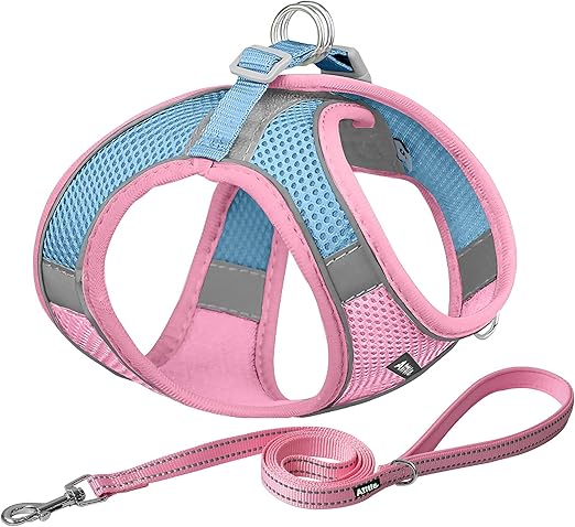 AIITLE Small Harness for Puppy with A Leash - Summer Dog Vest Harness with Super Breathable Mesh, Reflective No-Pull Pet Harness for Outdoor Walking, Camping for Small Dogs, Cats Pink XXS