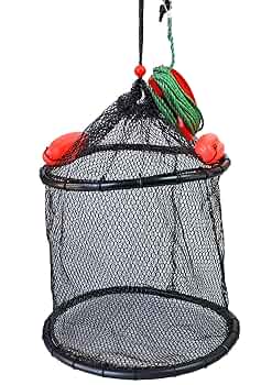 ポカリ様用 81fI-Lp73bL._UF350,350_QL50_.jpg