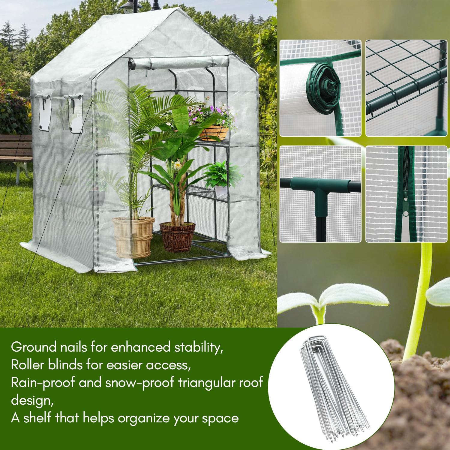 Cultivando en el Fin del Mundo: Mi Invernadero, image size:1500x1500